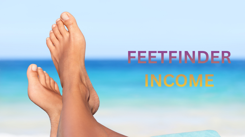 feetfinder income